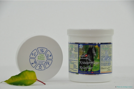 Pferdesalbe (grn) 500 ml Refill-Topf PB-RF 500